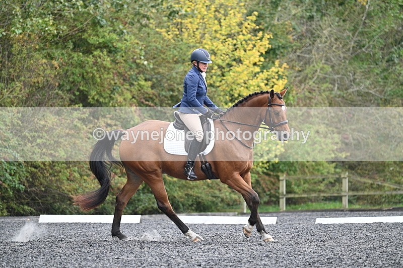 WJ7_4379 - Time 11:43 to 12:09