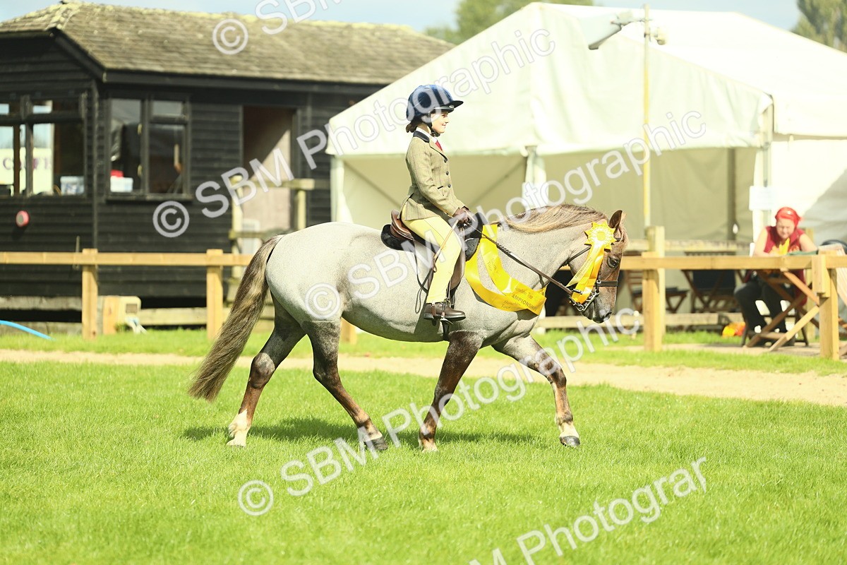SBM_44893 - Working Hunter Pony Supreme Championship