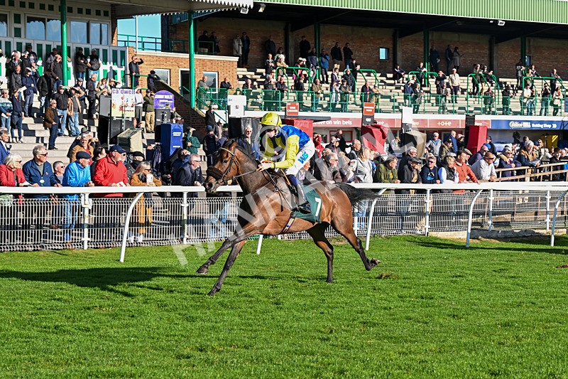 291024-Race 3-Kings Scholar-5934 - Race 3