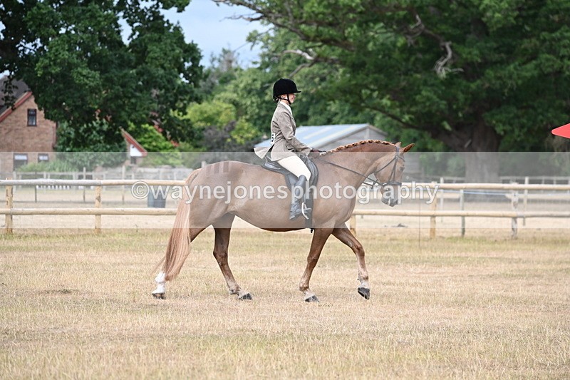 WJ6_7513 - Class 9 Tack and Turnout