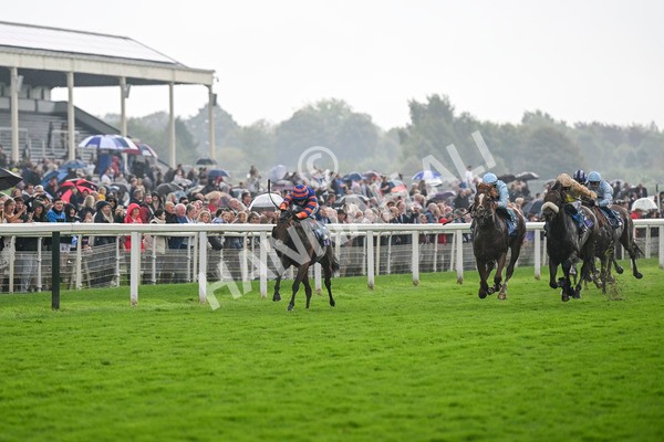 080924-Race 4-Zain Blue-9218 - Race 4 3.25pm PJ Staffing Group Handicap