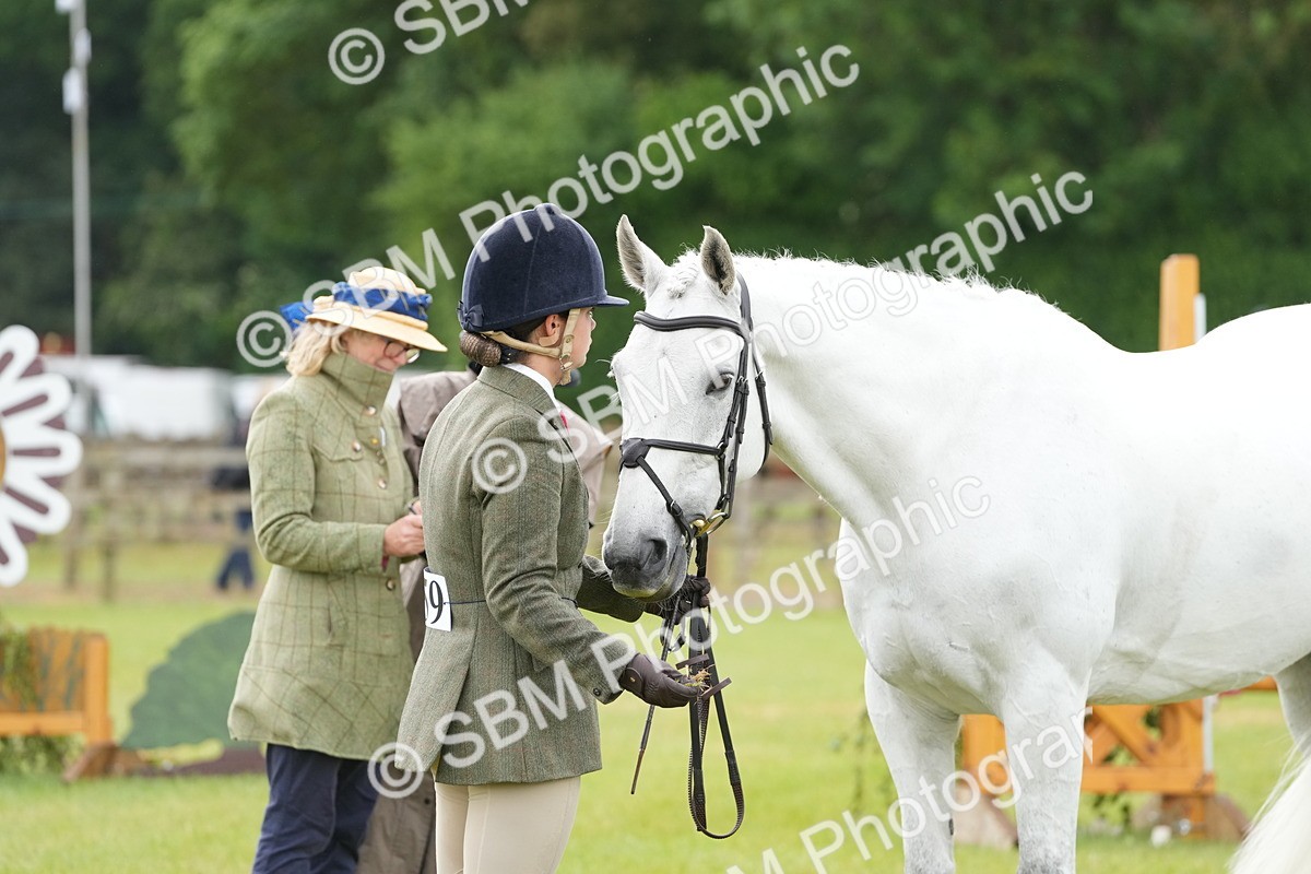 SBM_12733 - Class 97-98 - LIHS BSHA Rising Star Working Show Horse Hunter