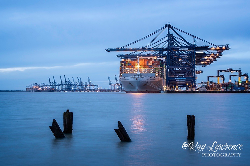 RLP_5975-315 - Close to Home