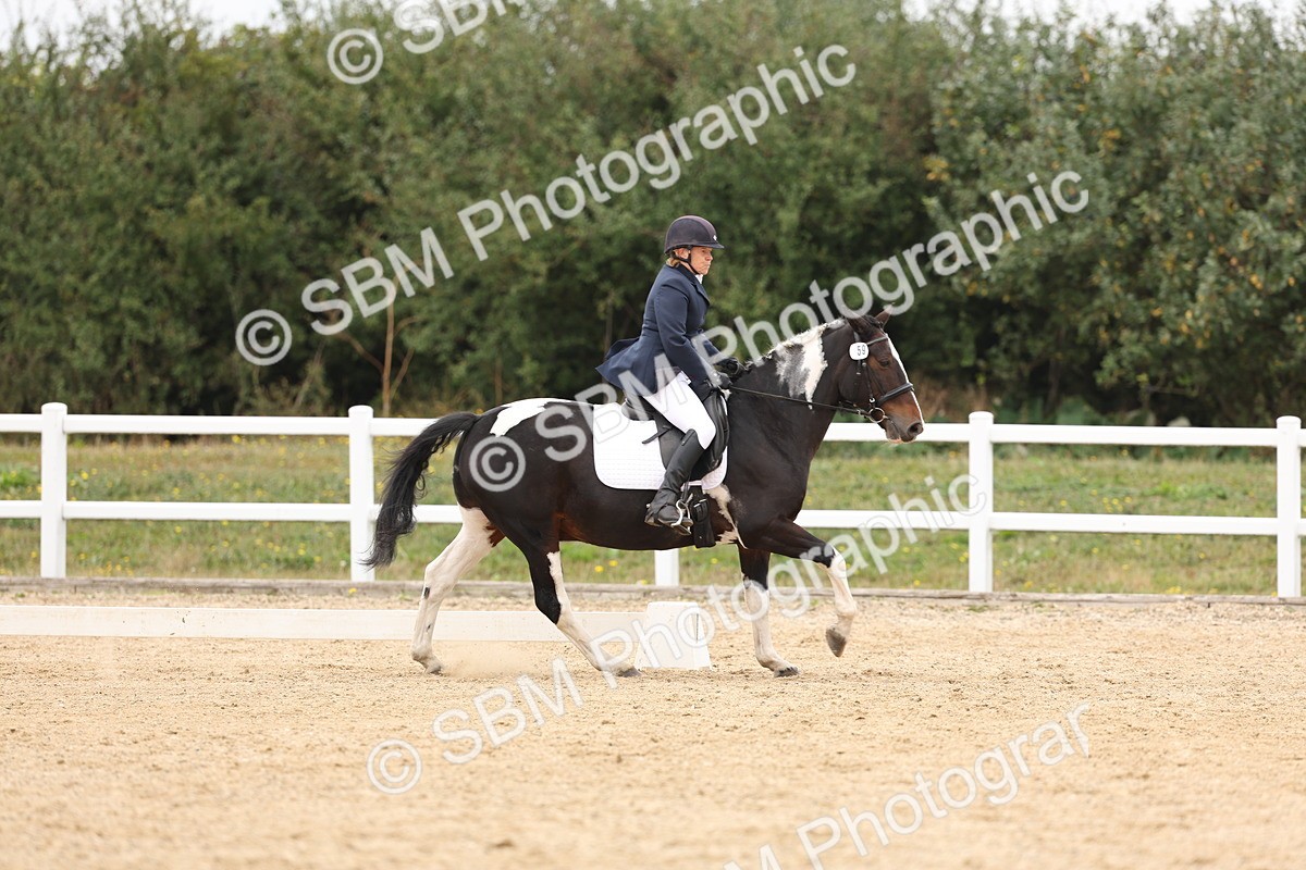 SBM_00878 - Class 8 - Novice 27 Champs