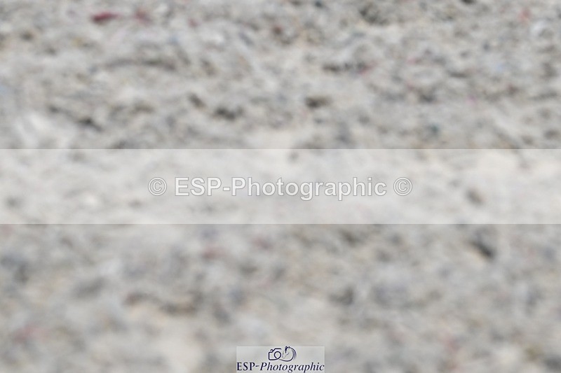 250621-124244-08003 - Cls 27 - Novice 6, 12.20 to End