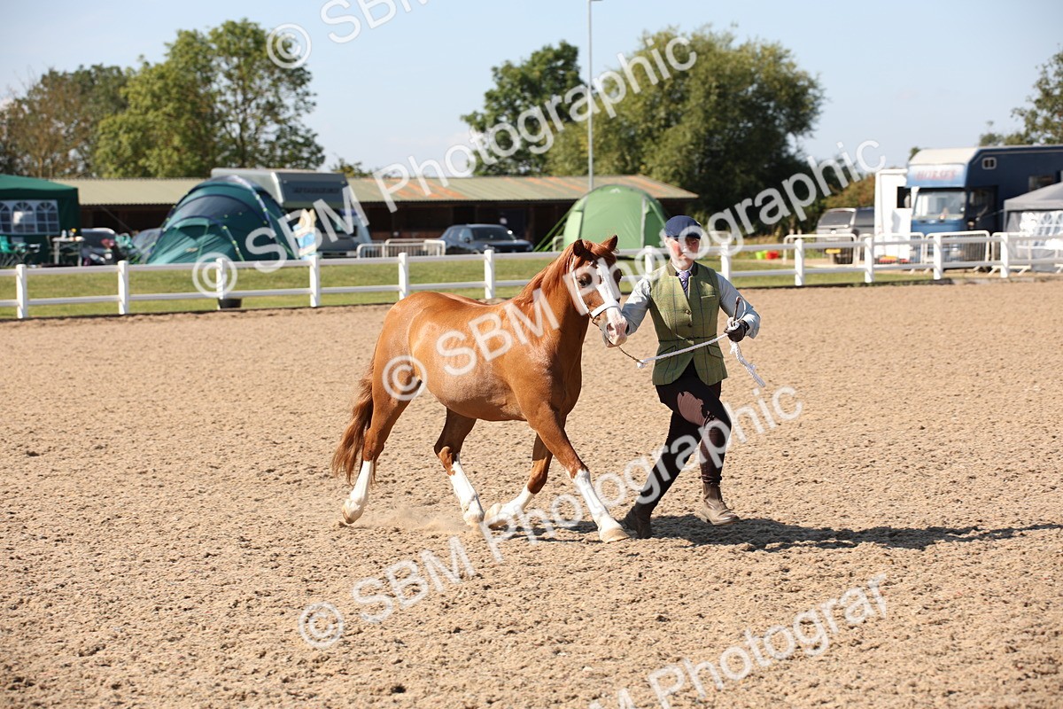 SBM_02766 - Class 16 IH M&M Wildcard