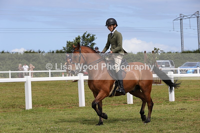 1X9A4005 - Class 32: Show Hunter Pony 153cm and under
