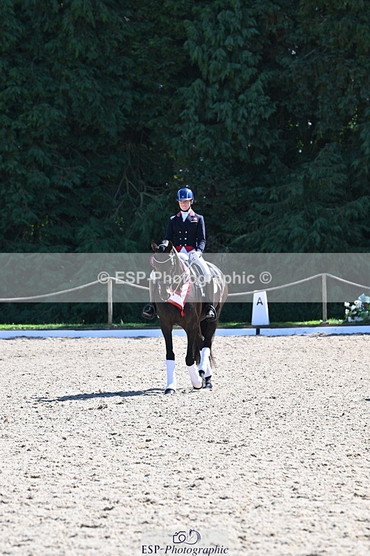 240811-153814-06695 - Inter I Gold