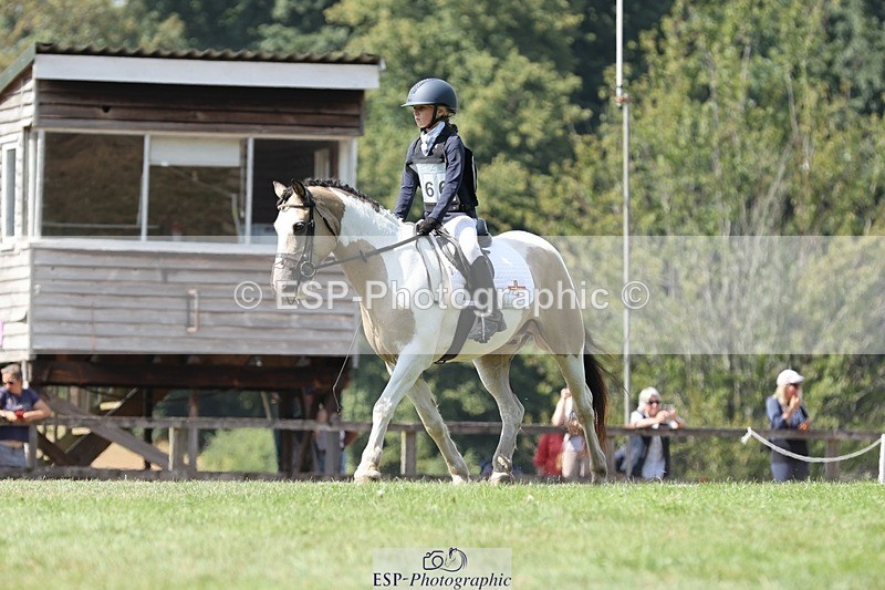 250823A-133530-31323 - Arena D