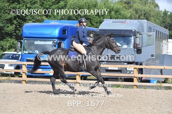 BPP_1677 - DERBY CLASS 4 - 50CM