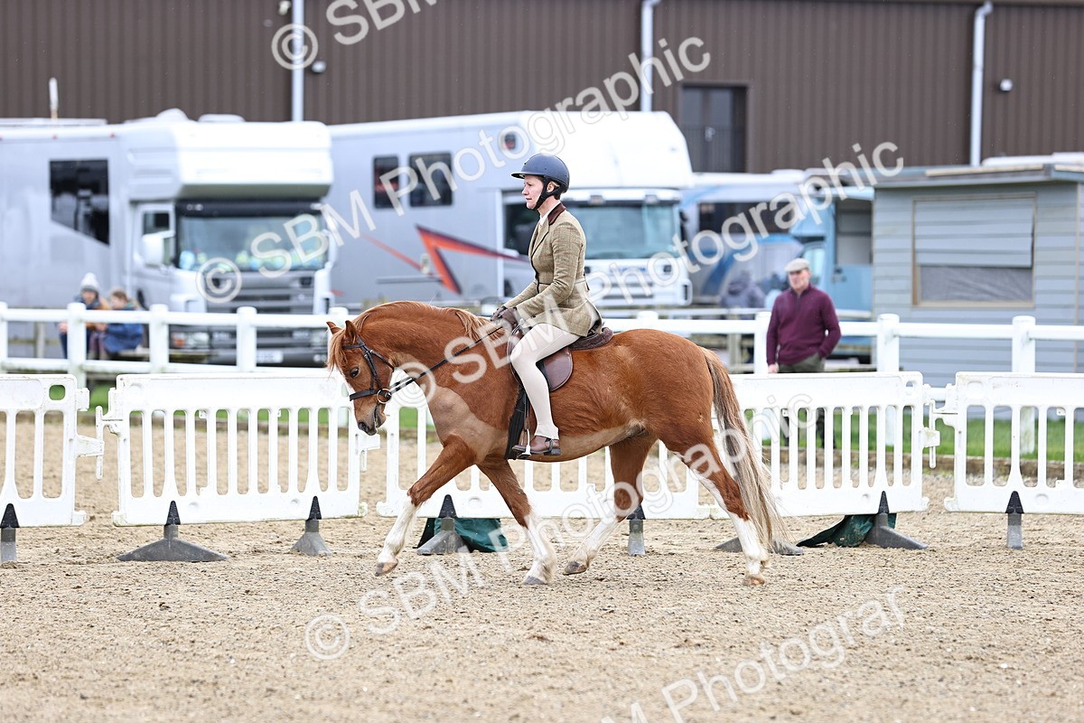 SBM_006814 - Class 29 - 30 - M&M Pure Novice Small-Large Breeds
