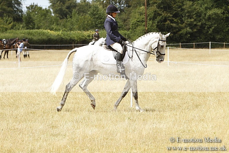 _BS_0993 - Working Hunter Championship BVRC Show 2018