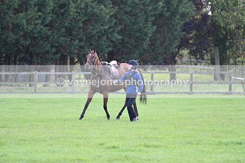 WJ7_0975 - Time 13:30 to 13:54