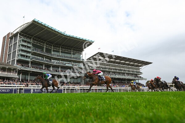 yr07102022r2-21 - Race 2 2.40pm William Hill Autumn Mile