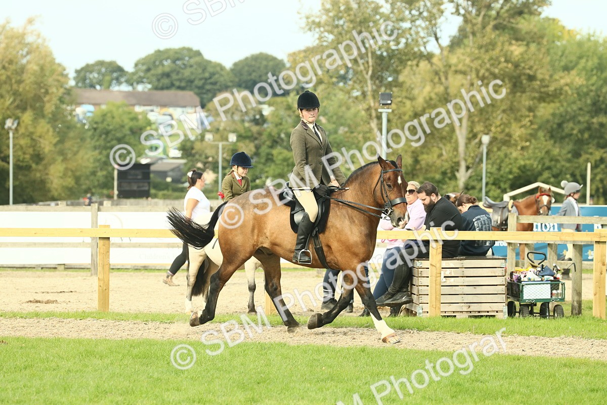 SBM_68263 - S58 - Mini Show Cob Ridden