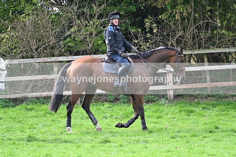 WJ7_9133 - Time 12:55 to 13:13