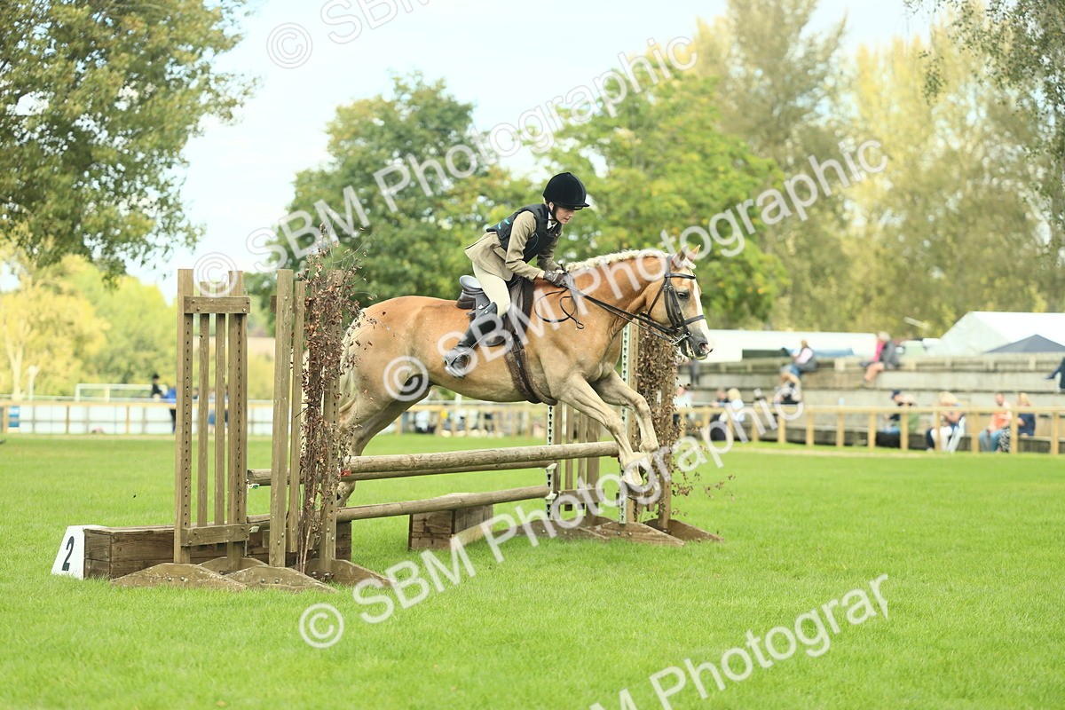 SBM_44713 - S31 - Working Hunter Pony