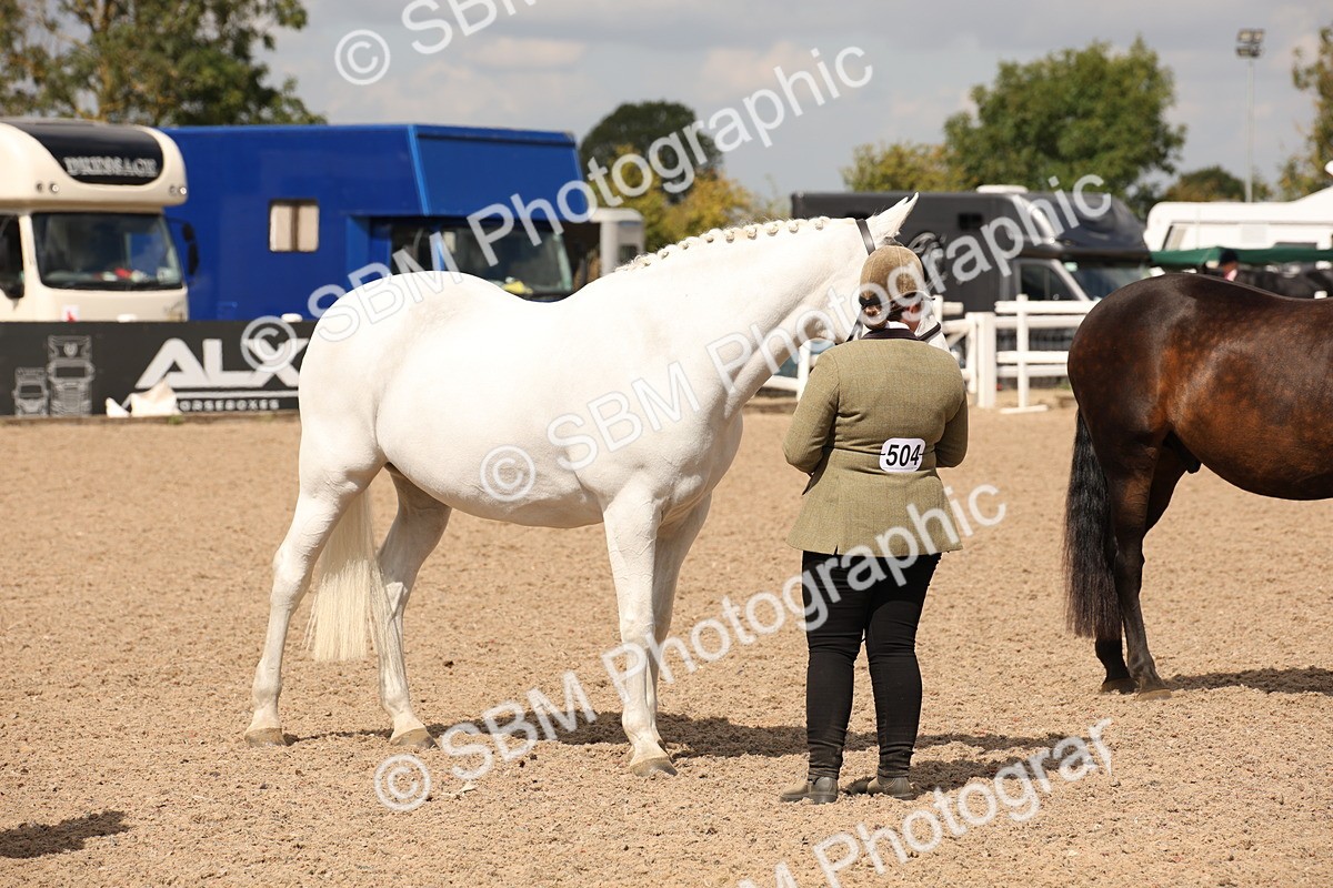 SBM_04659 - Class 20 IH Veteran