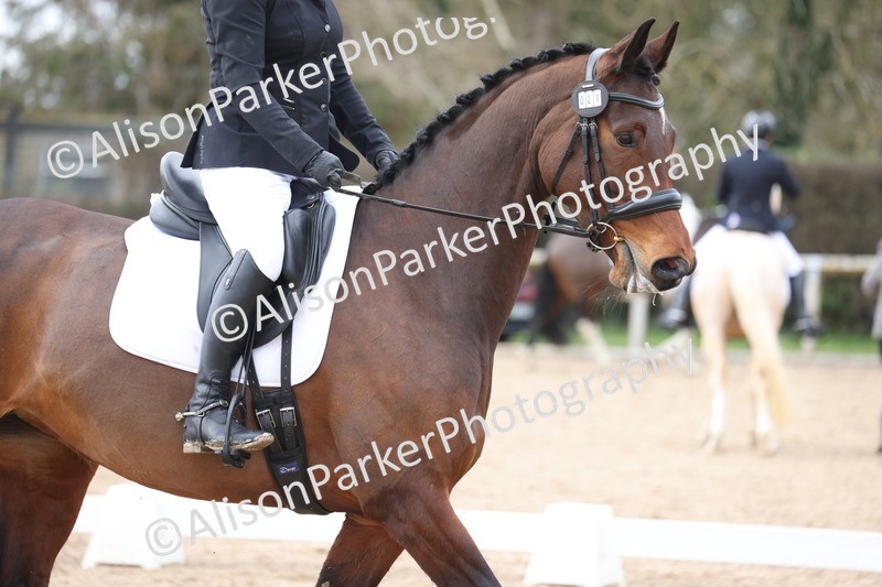 20260301-0604 - Class 4 - Novice 5