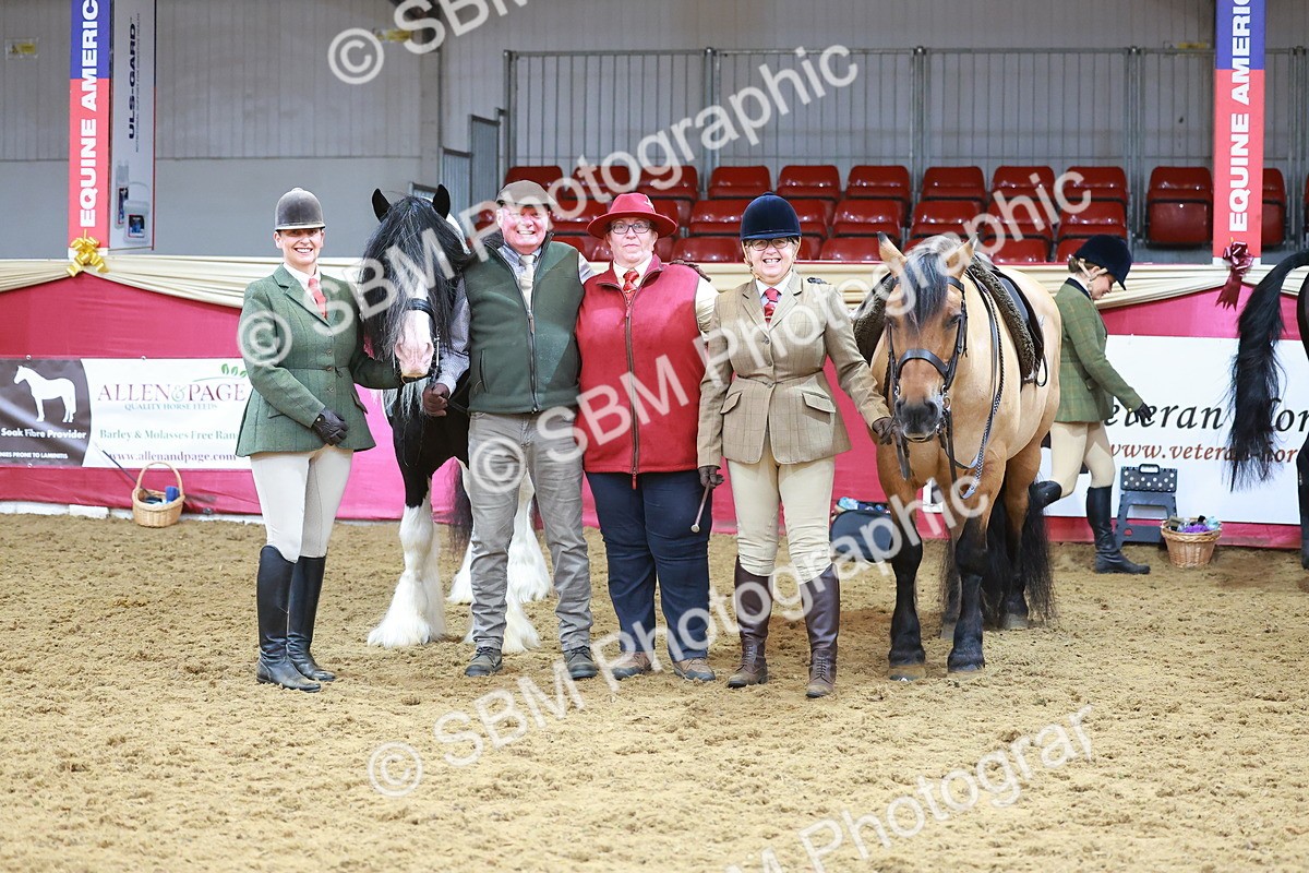 SBM_09540 - Class 102 - HOYS Veteran Qualifier - Ridden Veteran