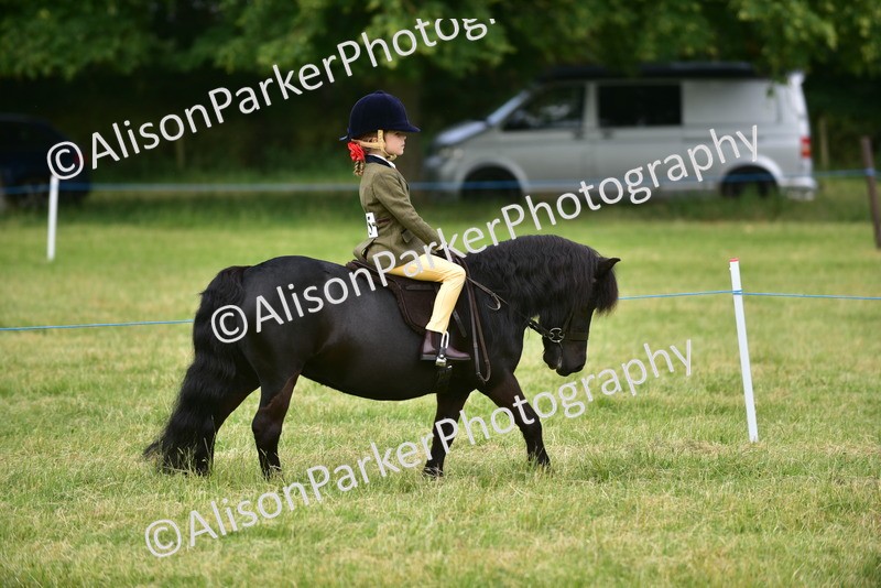 20260614-3624 - Class 15 - Prettiest Mare