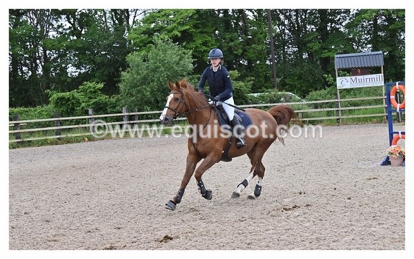 BPP_0876 - CLASS 2 FRI British Novice/ 90cm Open
