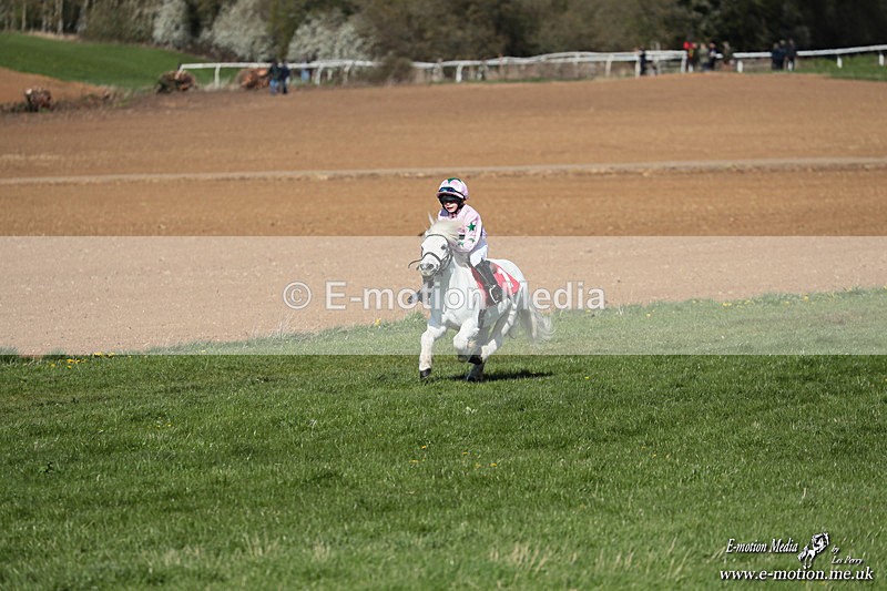 Shet 060426 135 - Shetland Pony Racing Paxford Races Easter Mon 06/04/26