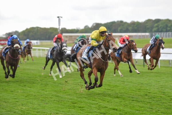 yr14052021r5-37 - Race 5 3.40pm The Jigsaw Sports Branding Handicap