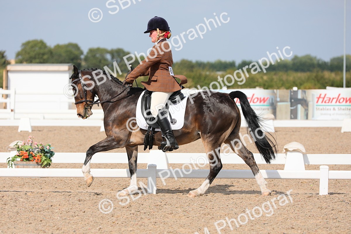 SBM_07530 - Class 33 Elementary 1