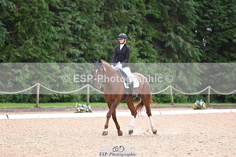 240809-121559-00712 - 185-Daisy.Hedges-Felicia.v