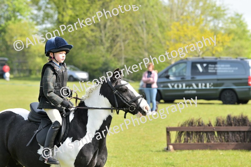 20260426-0936 - Class 18 - Novice Showing