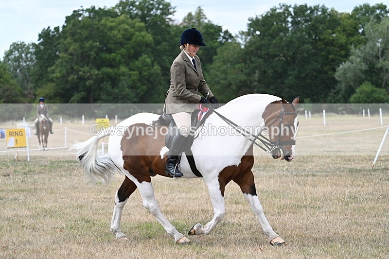 WJ7_5664 - Class 12 Ridden Cob
