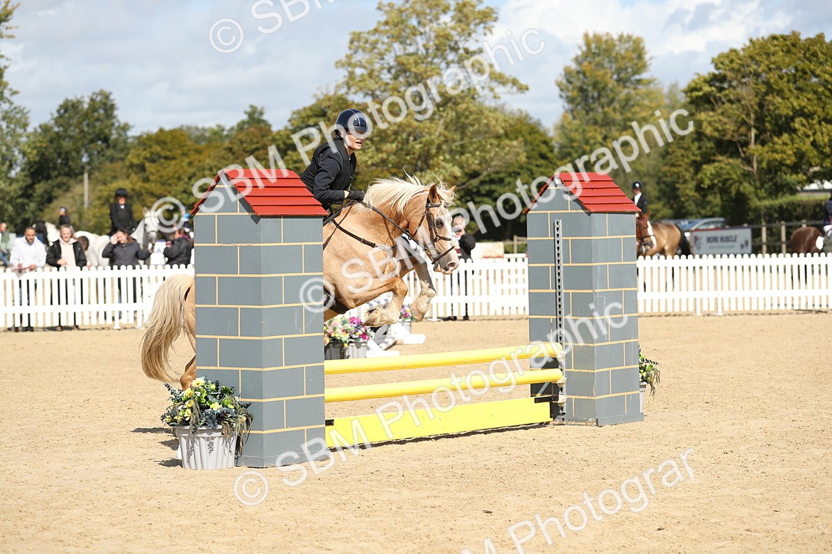 SBM_05606 - J35 - Veteran Rider 60cm