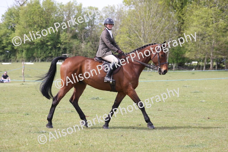 20260426-4309 - Class 34 - Best Riding Horse Over 14.2hh