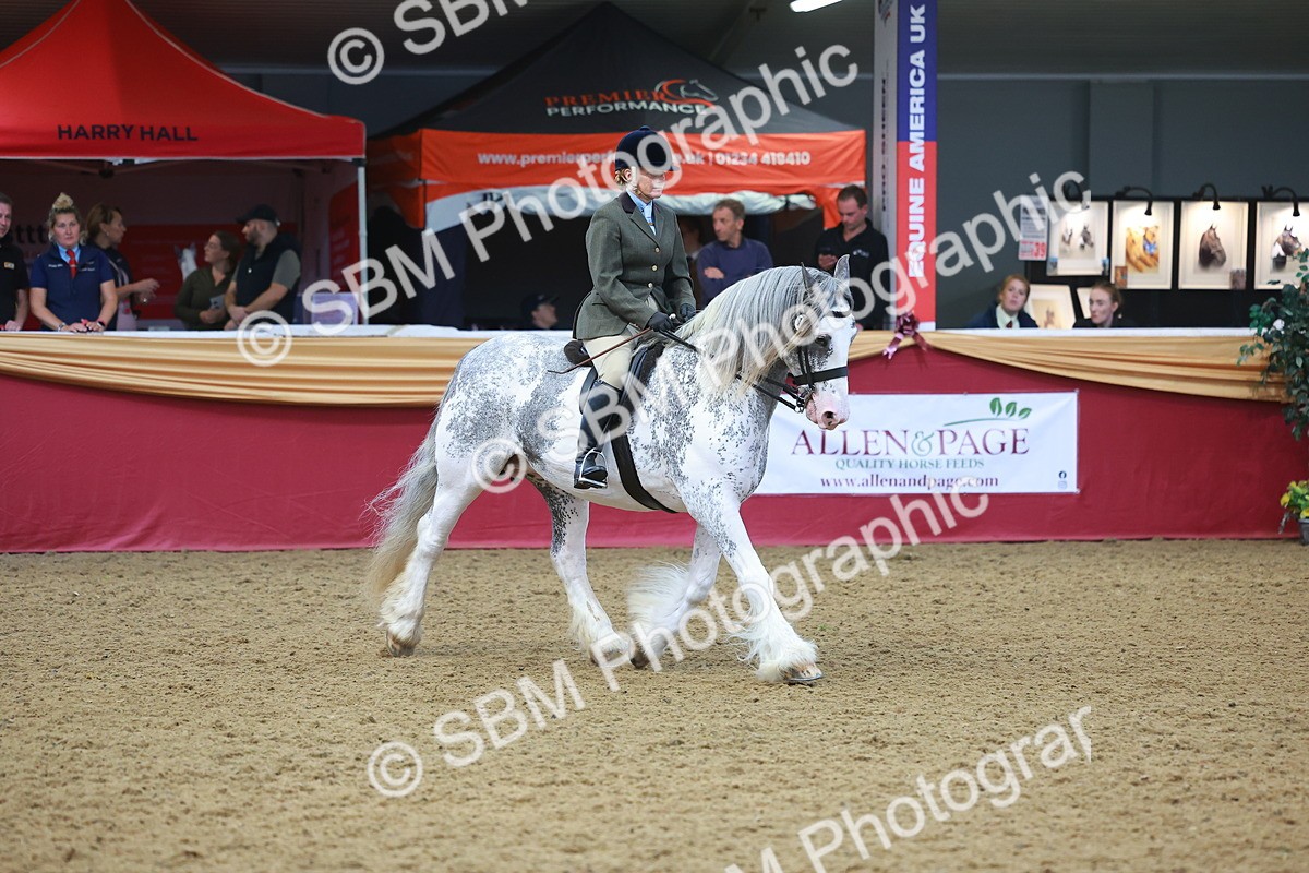 SBM_12598 - Class 103 - HOYS Veteran Qualifier - Ridden Pre Vet