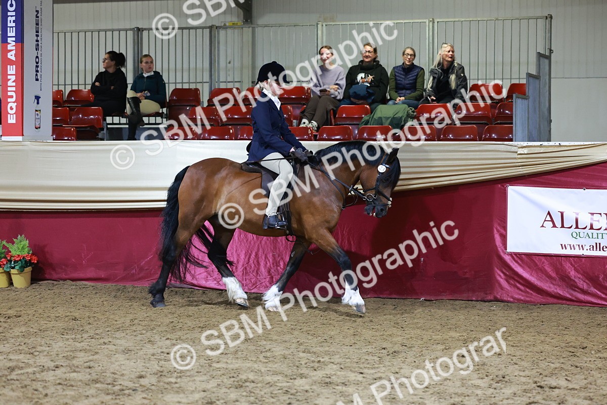 SBM_21354 - Class T - Working Veteran Champs