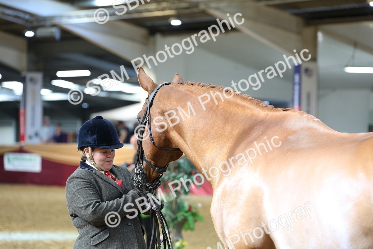 SBM_23315 - Class 903 - Supreme Final - IH Pre Vet