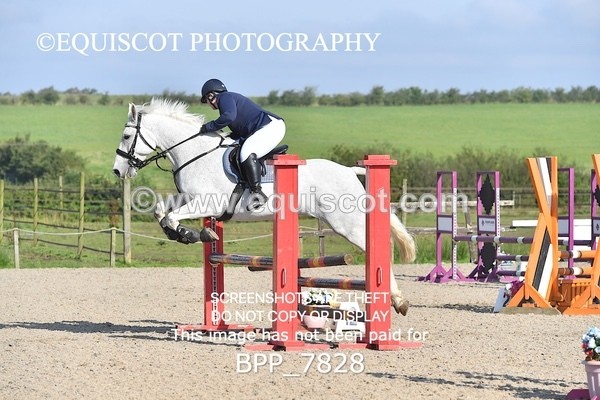 BPP_7828 - CLASS 2 Club/ Unaffiliated 80cms Open
