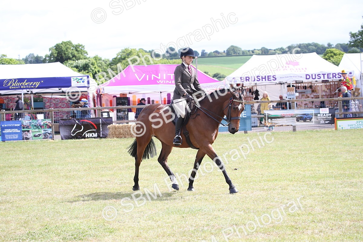 SBM_13225 - Class 95-96 - LIHS BSHA Rising Star Hack Riding Horse