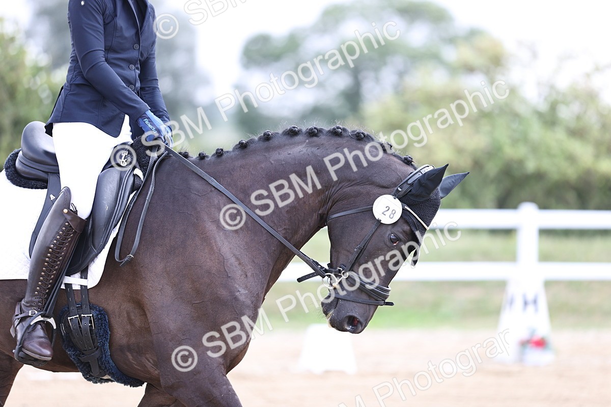 SBM_015329 - Class 14 - Novice 23 - 9.05-10.08