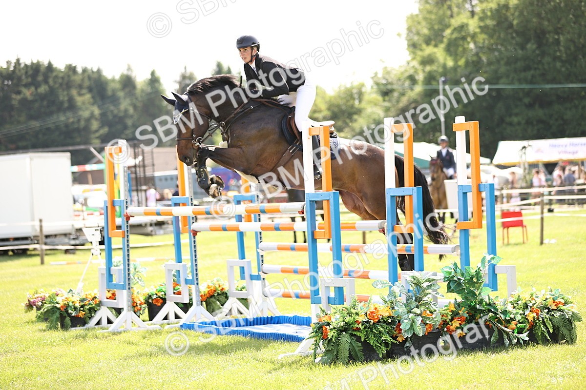 SBM_03221 - Class 201 - British Horse Feedds Speedi Beet HOYS Grade C