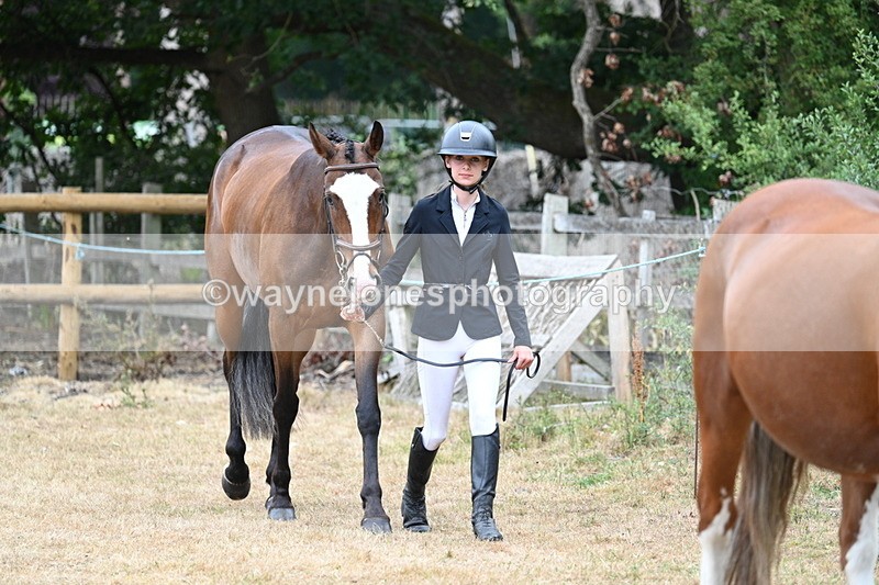 WJ7_8659 - Class 4a Prettiest Mare 14.2hh and over