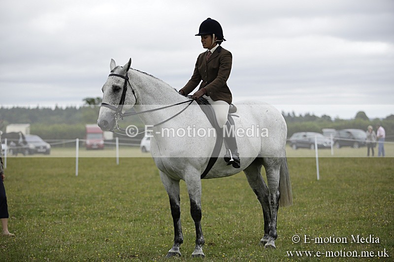 BVR160717-1020 - Ring 1 BVRC Show 16/07/17