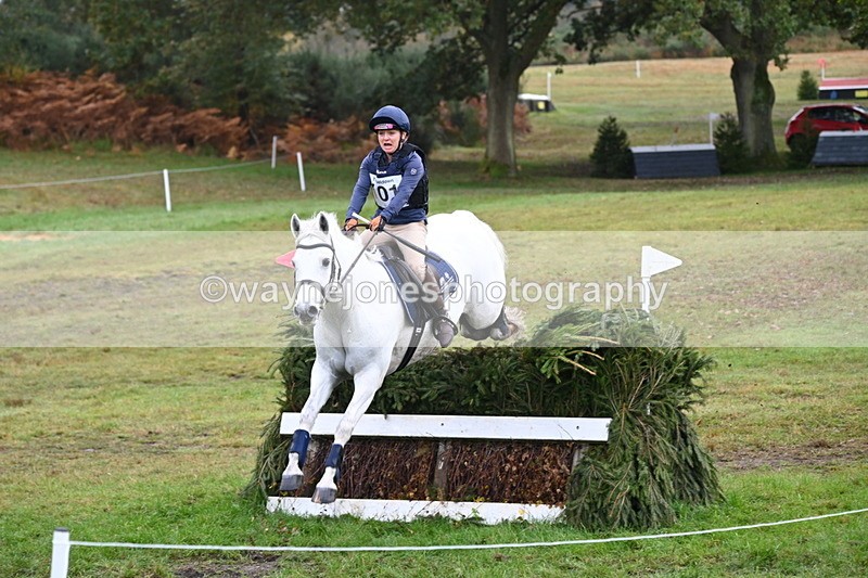 WJ6_1630 - 80cm Cam 1 Time 10:08 to 10:45