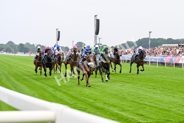 250725-Race 2-Rock N Roll Pinkie-0374 - Race 2 6.03pm Elevator Company Handicap