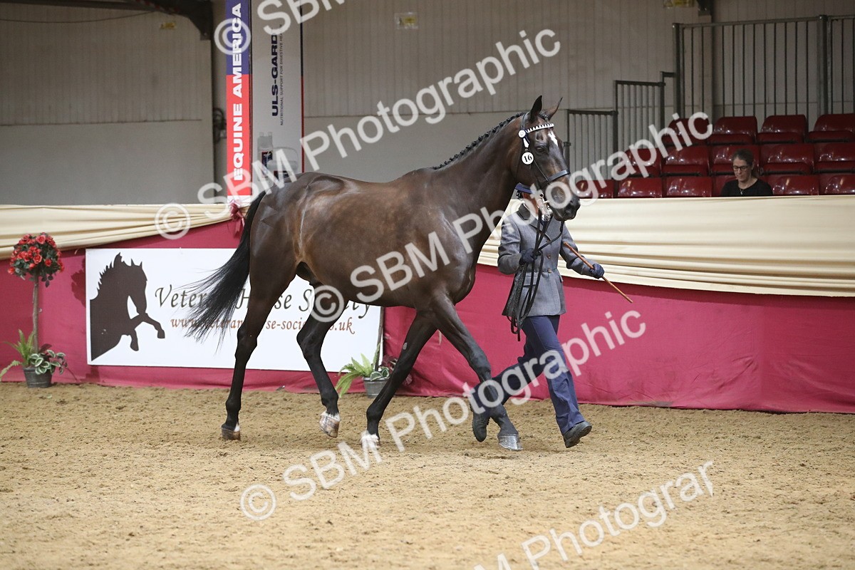 SBM_05478 - Class 9R - Regional IH Pre-Vet