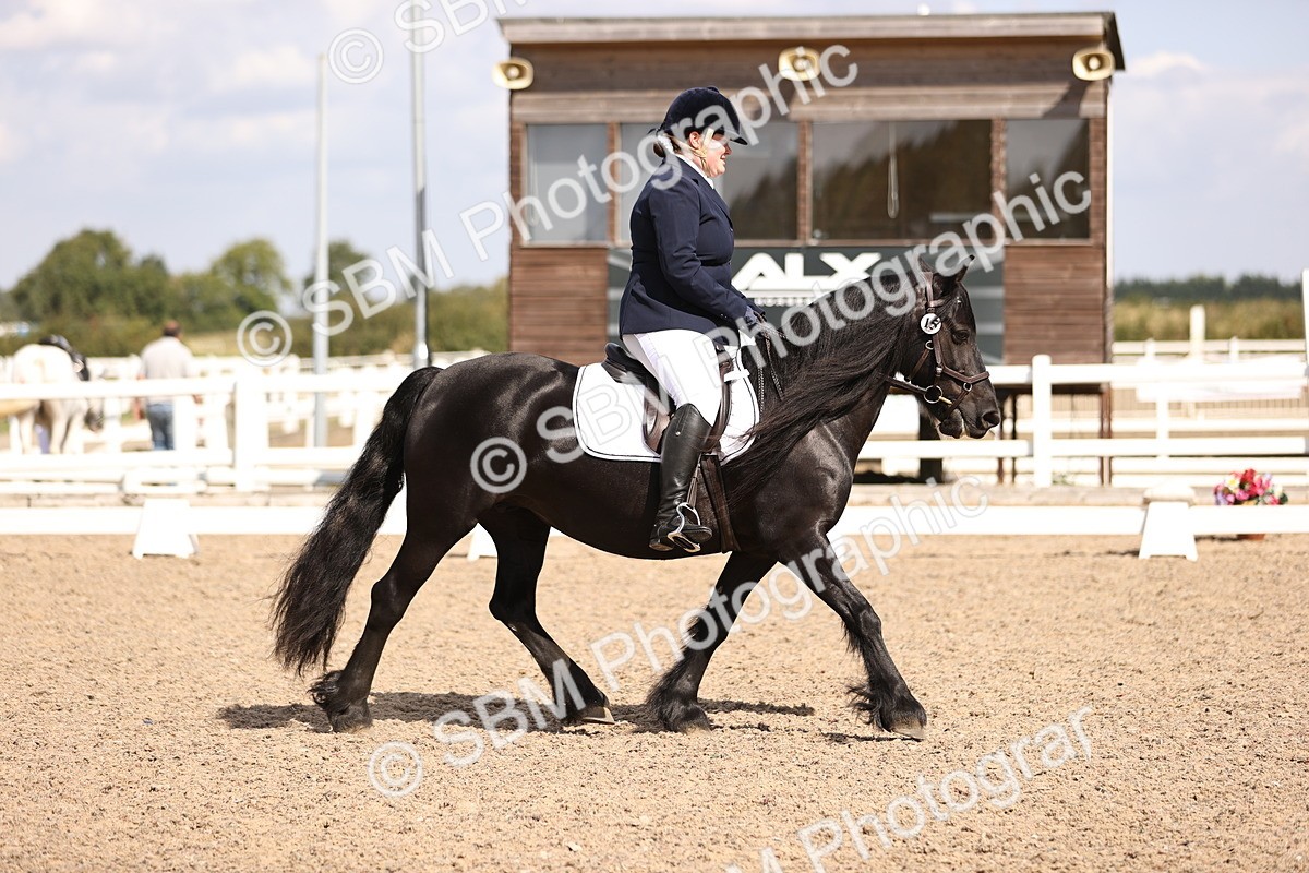 SBM_03691 - CLass 35 Intro 3