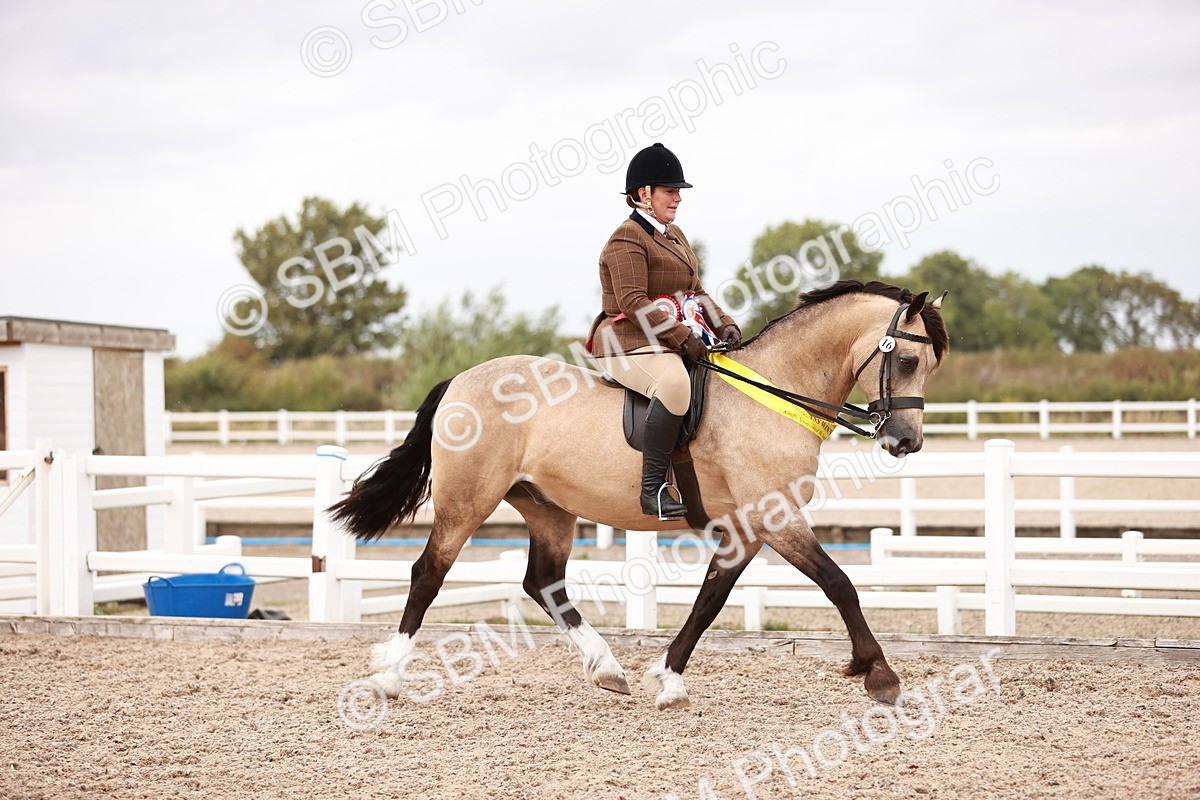 SBM_19098 - Class 422 - Ridden M&M