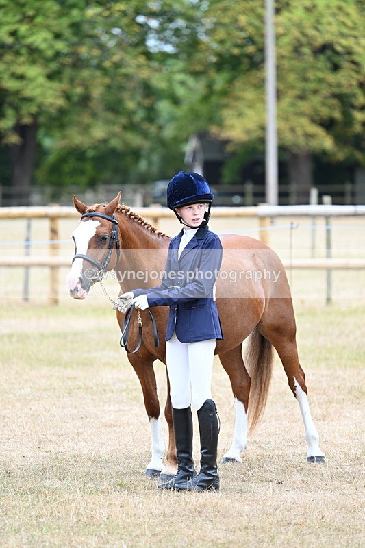 WJ7_8121 - Class 4 Prettiest Mare up to 14.2hh