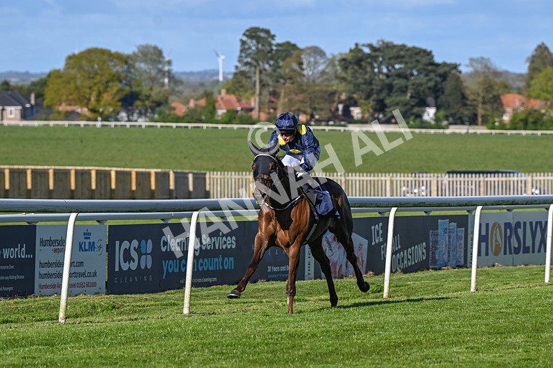 250424-Race 7-Little Rose-1999 - Race 7